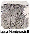 Luca Monterastelli